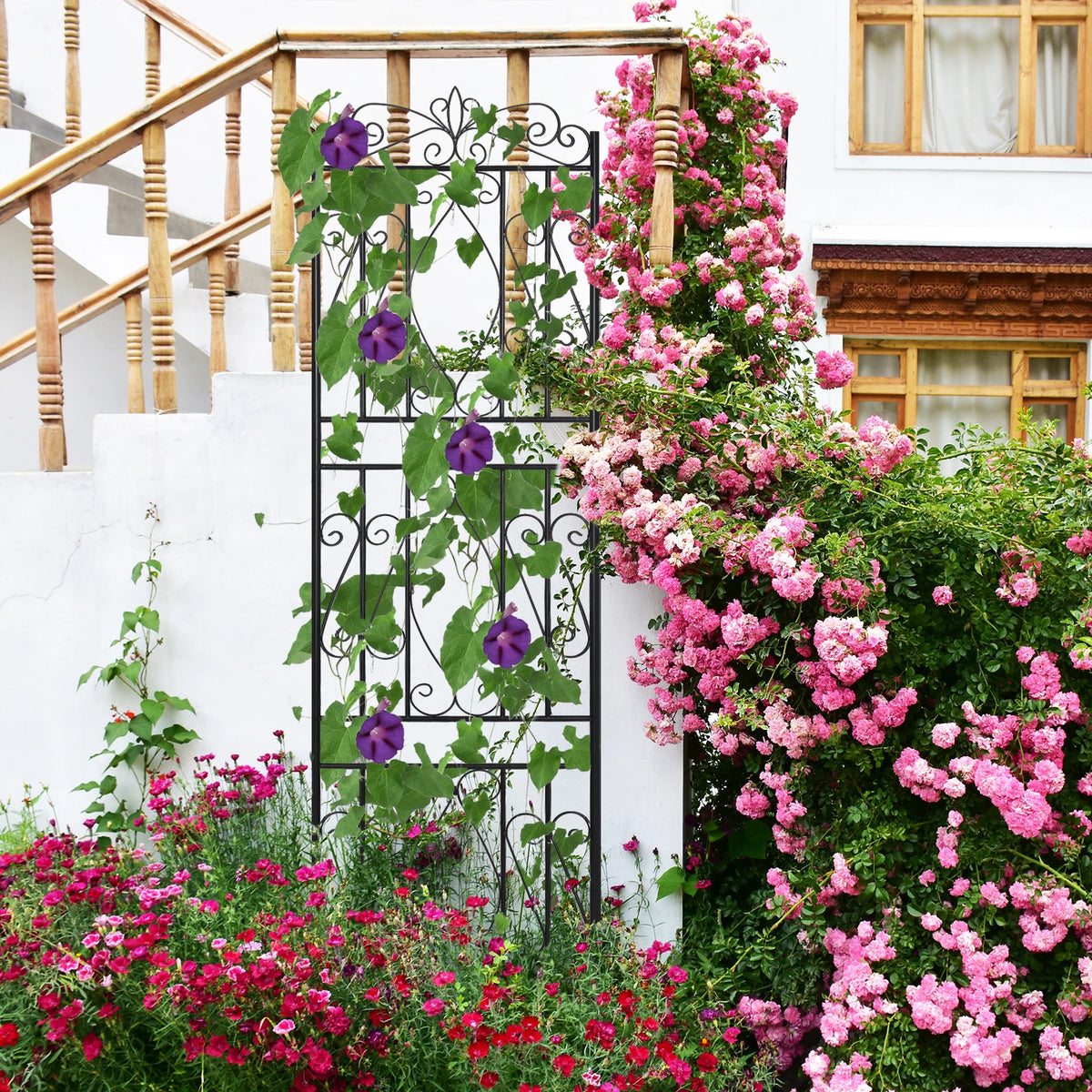 Metal Garden Trellis For Climbing Plants And Decorative Support