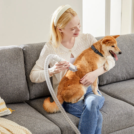 Pet Grooming Vacuum Kit With Cordless Clippers And Groomer Tools