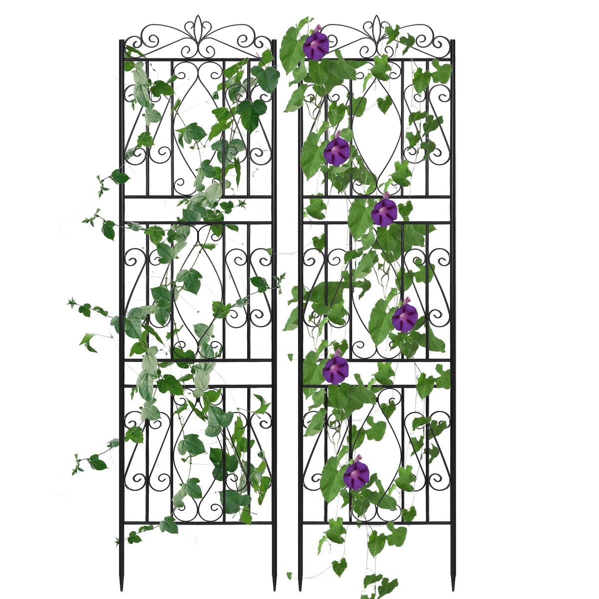 Metal Garden Trellis For Climbing Plants And Decorative Support